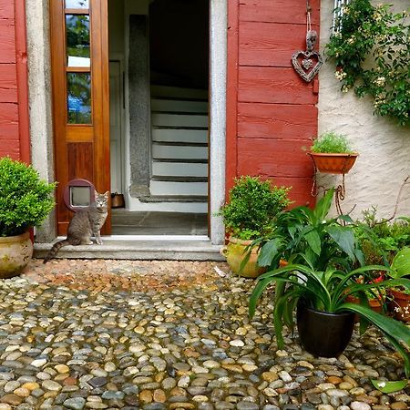 Bed & Breakfast Uvablu Trontano Экстерьер фото