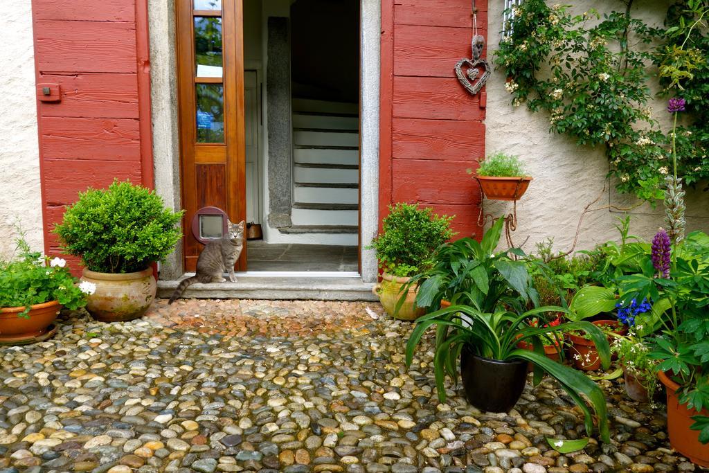 Bed & Breakfast Uvablu Trontano Экстерьер фото