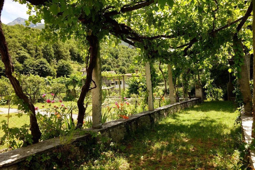 Bed & Breakfast Uvablu Trontano Экстерьер фото