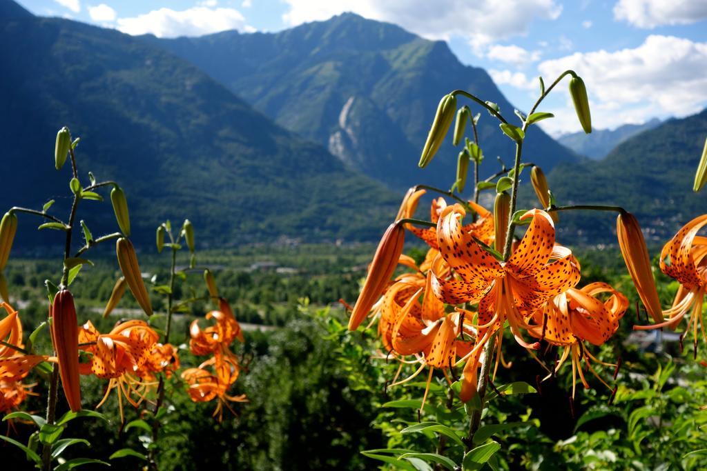 Bed and Breakfast Bed & Breakfast Uvablu Trontano Экстерьер фото